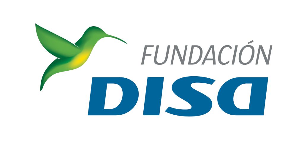 Fundación DISA