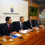 Un equipaje, un árbol (8)