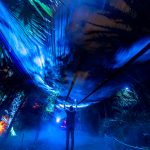 Entrada extra para "Naturaleza Encendida" a los suscriptores del newsletter (5)