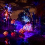 Entrada extra para "Naturaleza Encendida" a los suscriptores del newsletter (3)