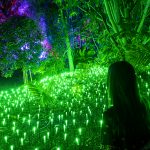 Entrada extra para "Naturaleza Encendida" a los suscriptores del newsletter (4)