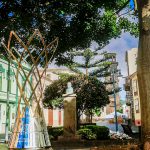 Un proyecto de toda la Isla (17)