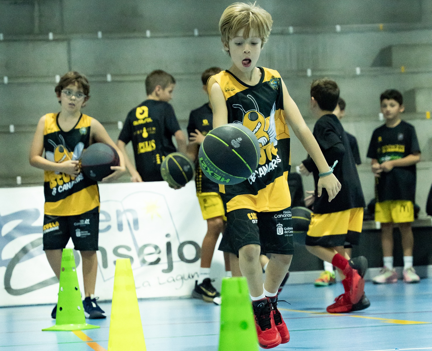 Mañana arrancan los entrenos de captación para los premini del curso 26/27