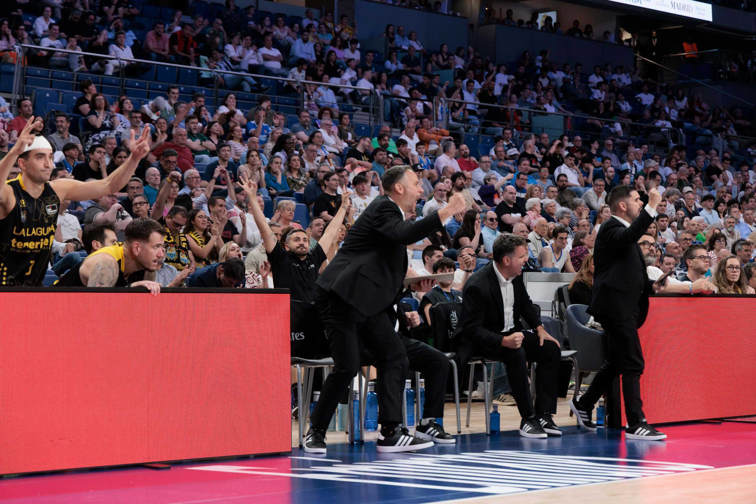 Ir a la noticia Sonata aurinegra en Madrid