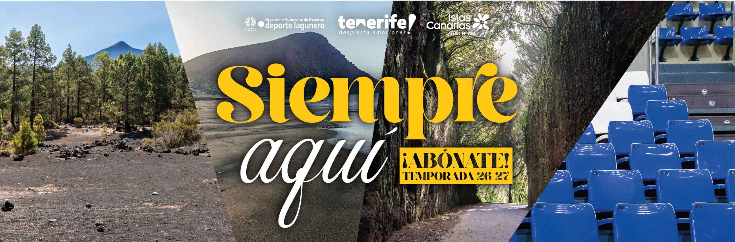 Ir a la noticia 