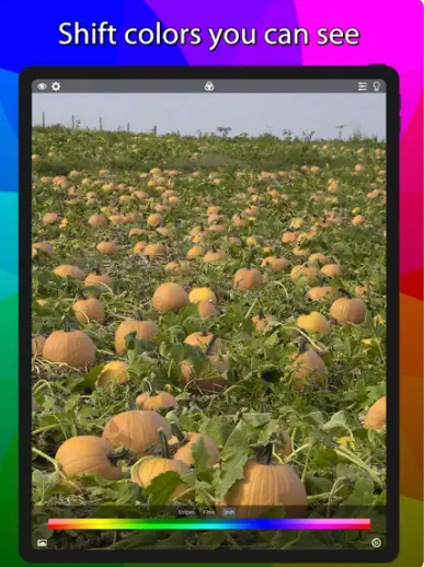 Captura número 2 de la aplicación Color Blind Pal