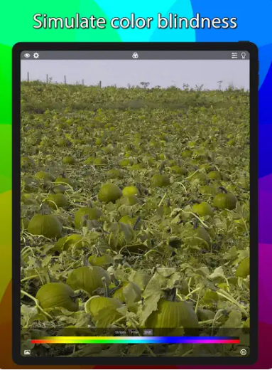 Captura número 3 de la aplicación Color Blind Pal