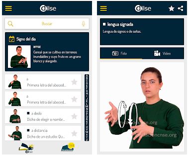Captura número 1 de la aplicación DILSE