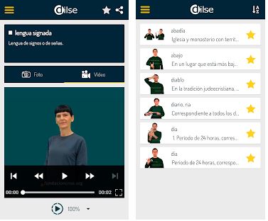 Captura número 2 de la aplicación DILSE