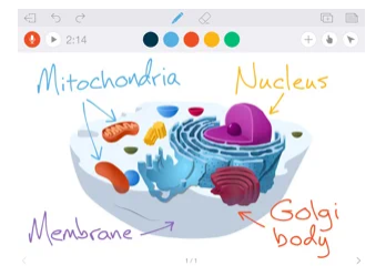 Captura número 3 de la aplicación Educreations Whiteboard