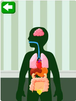 Captura número 2 de la aplicación Partes del cuerpo para niños