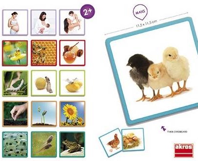 Maxi tarjetas ciclos de la vida