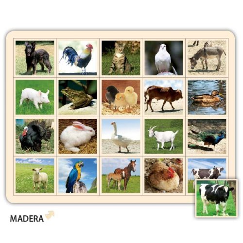 LotoFoto. Animales de la Granja