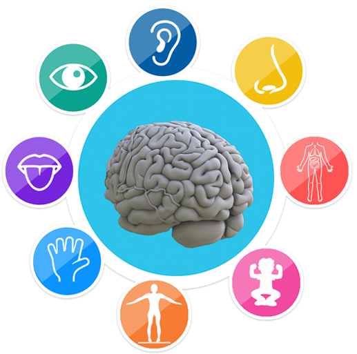 Imagen representativa de los sentidos