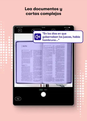 Captura número 2 de la aplicación Envision