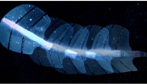 Imagen representativa de Desarrollan unos músculos artificiales