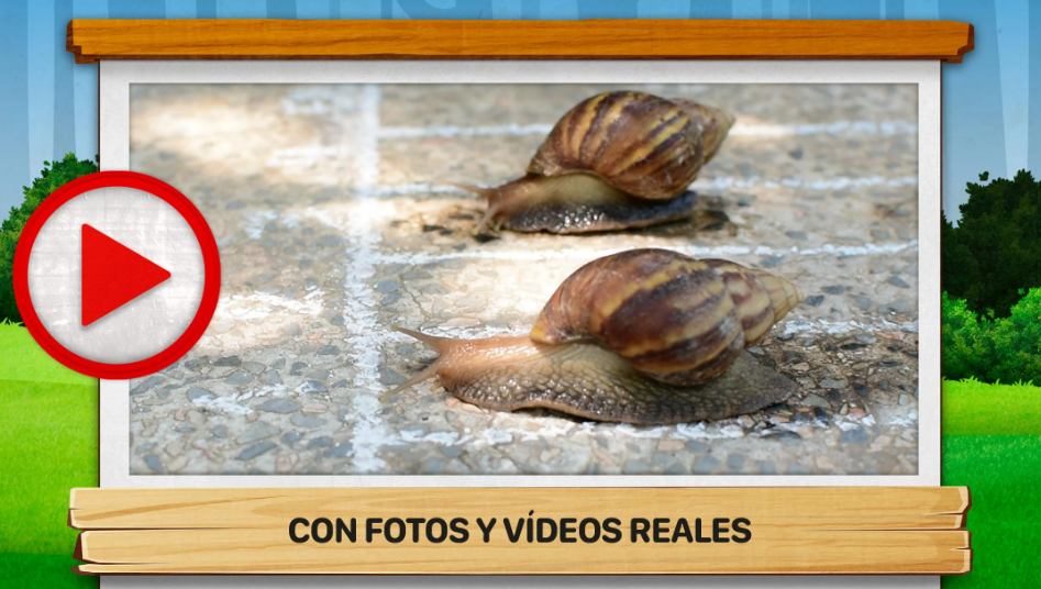 Captura número 2 de la aplicación Los Bichos 2: ¿Cómo son?