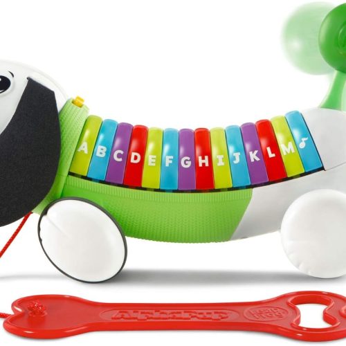 Perro de juguete de colores