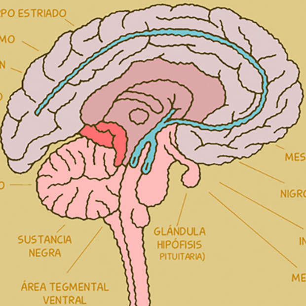 Imagen de NUESTRO CEREBRO DE SAPIENS ANTE EL CAMBIO CLIMÁTICO