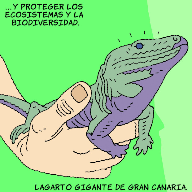 Imagen de LA AGENDA CANARIA DE DESARROLLO SOSTENIBLE