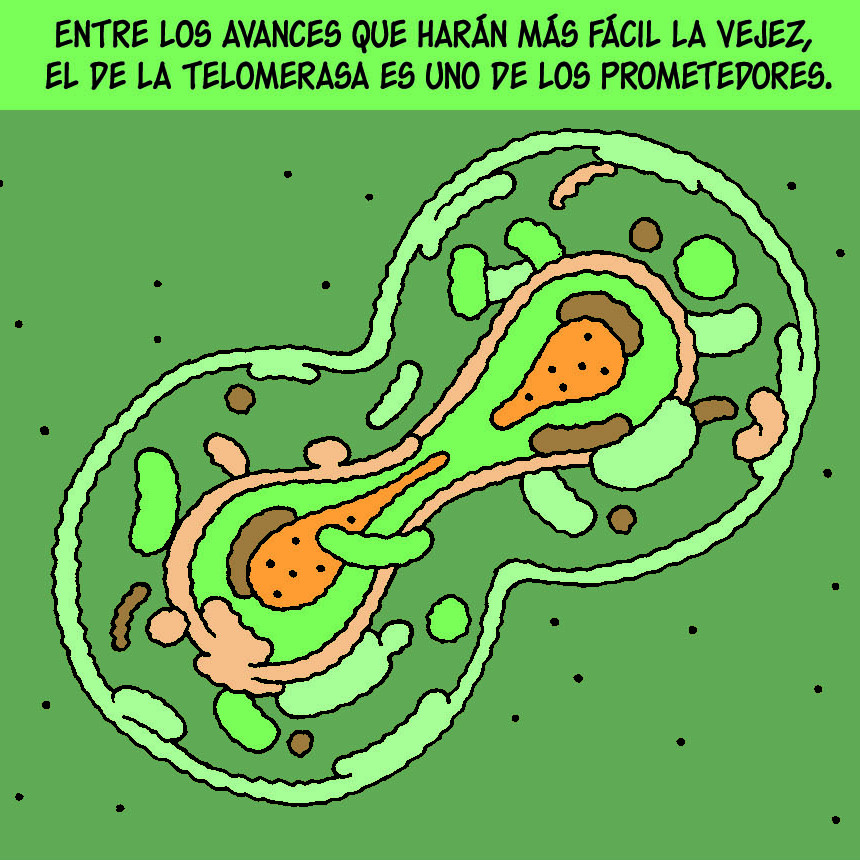 Imagen de SER VIEJO YA NO ES LO QUE ERA