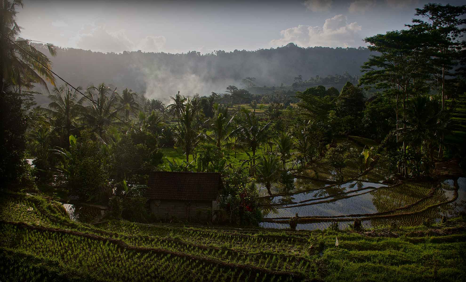 Growing STARS Bali 2026