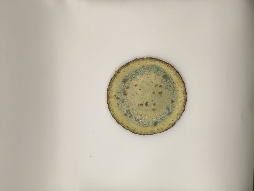 Imagen por defecto para Plato 2