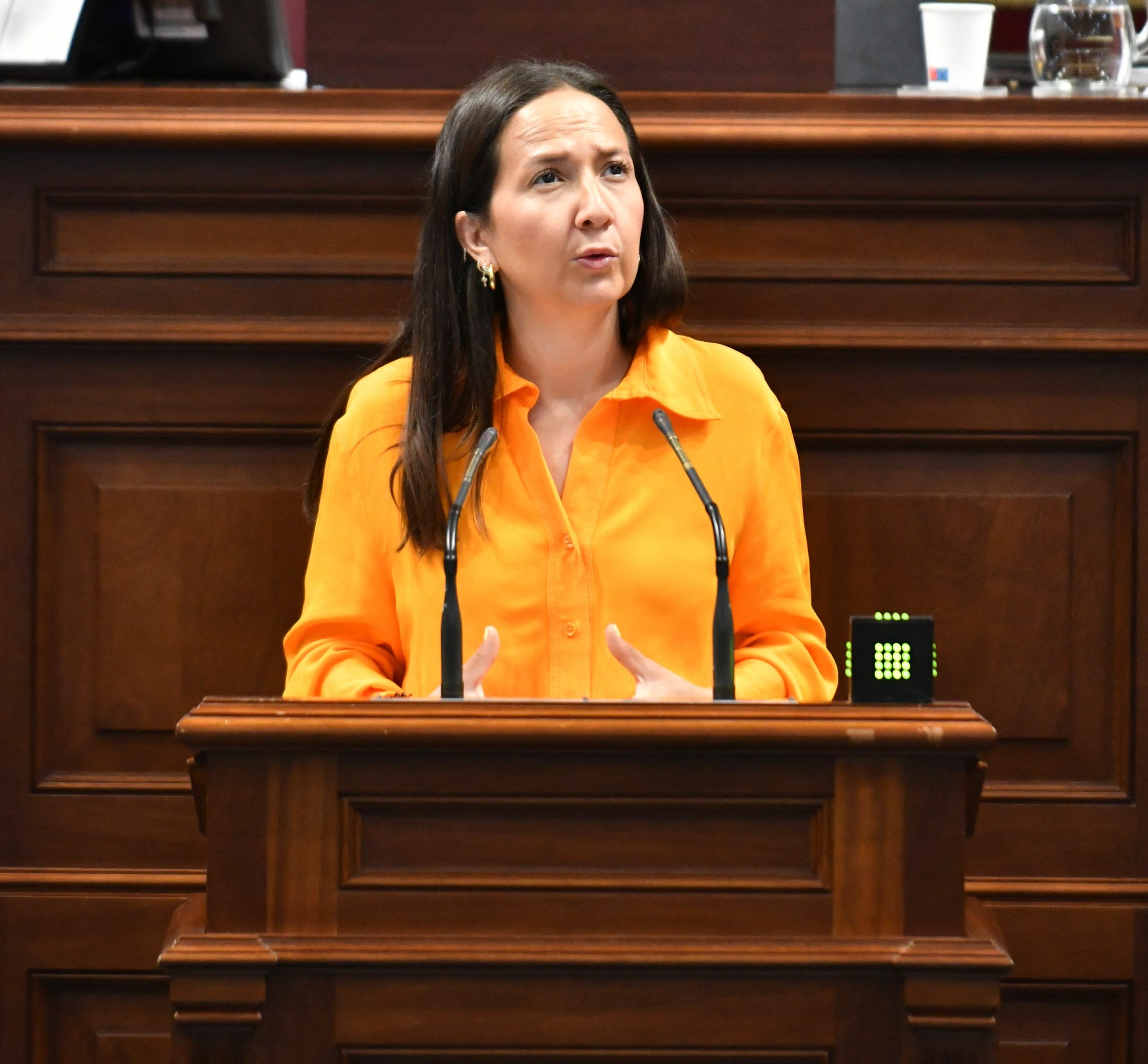 Imagen LorenaHernandezLabrador-scaled-e1657723776881.jpg
