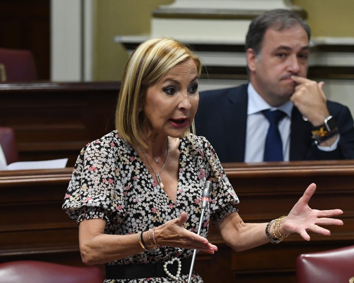 Imagen anaVARRO.jpeg