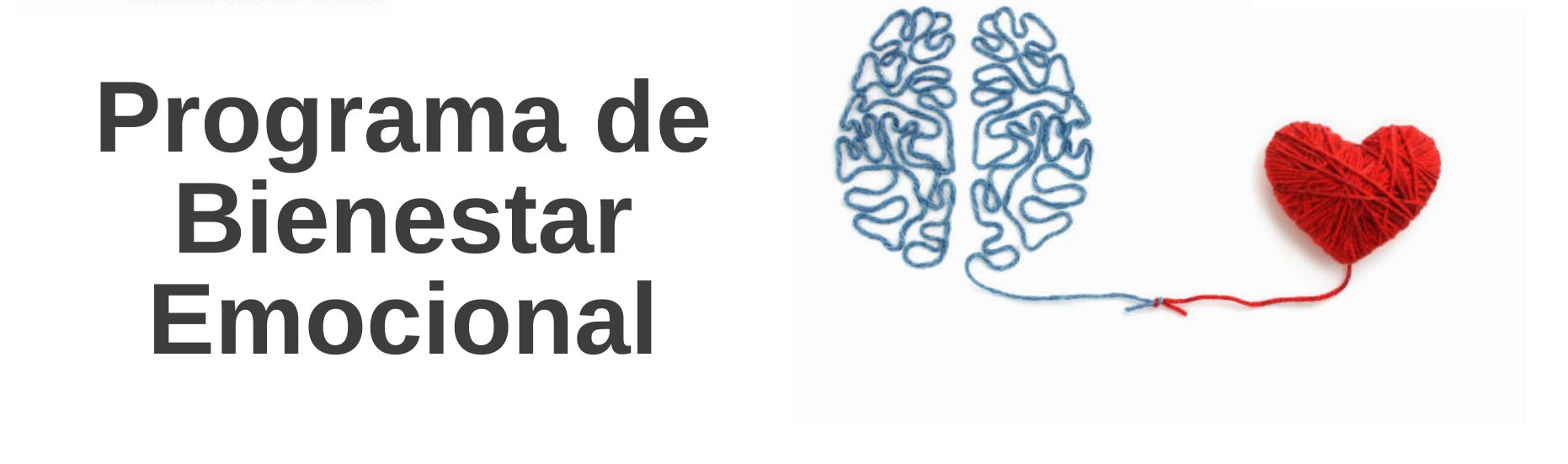 DIFUSION BIENESTAR PERSONAL