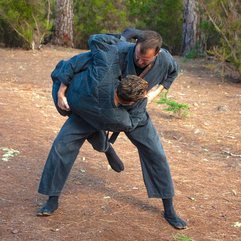 Imagen BUJINKAN-KOKORO.jpg