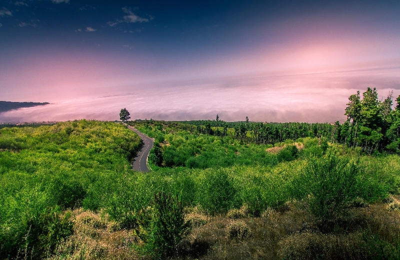 Imagen dobrefotki_pl-tenerife-3846635%402x.jpg