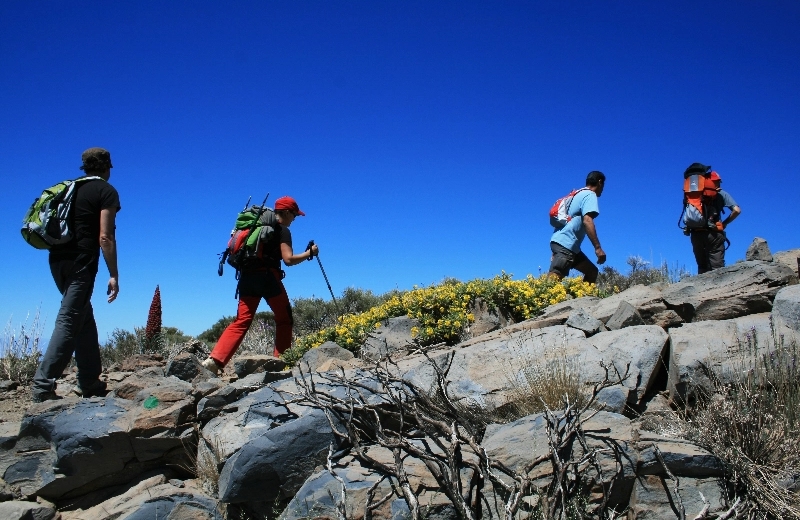 Imagen erdmann-crew-canary-islands-1575395%402x.jpg